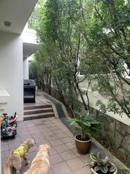 One Tree Hill (D10), Semi-Detached #474414891